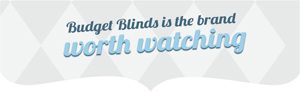 Blinds Worth Watching Banner