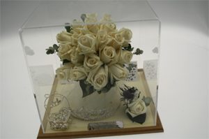 An Example of the Petitioner’s Innovative Freeze-Dried Botanical Work