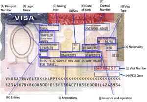 What A US Visa Looks Like 