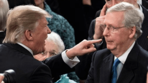 Mitch McConnell - Leader of the Senate. Nothing Goes to a Vote Unless He Says So, Not Even if Trump Demands He does. 