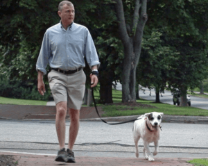 Leader or Dog Walker?